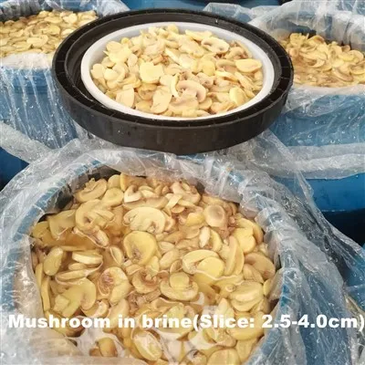 Toàn bộ nấm trong trống Champignon thái lát trong thùng