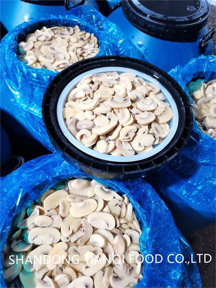Preserved Sliced champignon mushroom in brine in drums