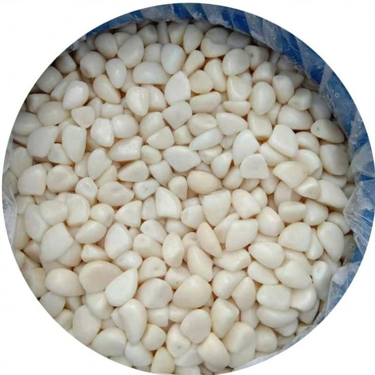 White garlic in salted water in plastic drums