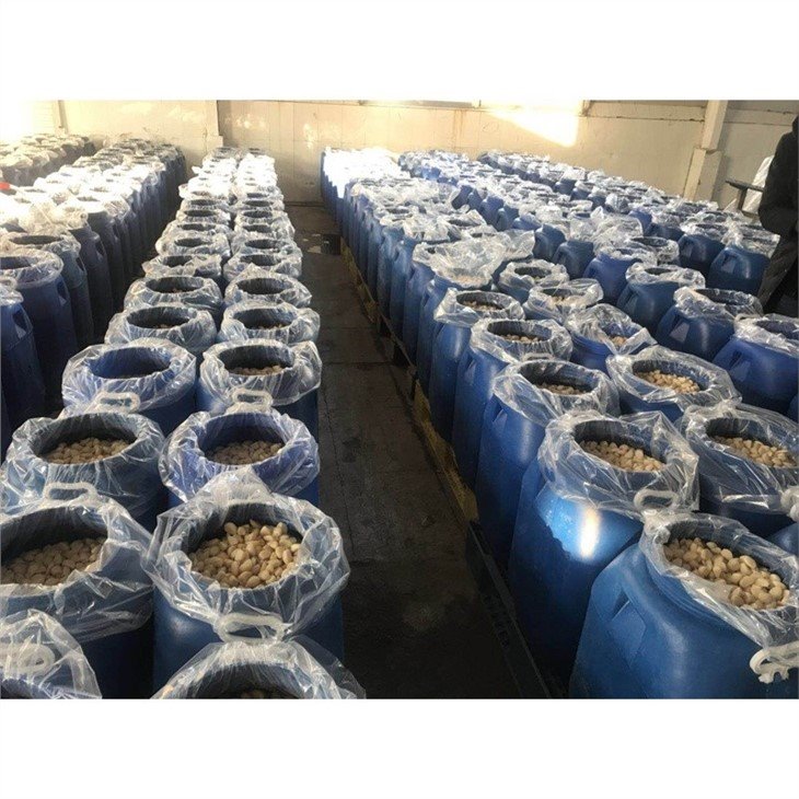 Good quality garlic cloves in brine in drums
