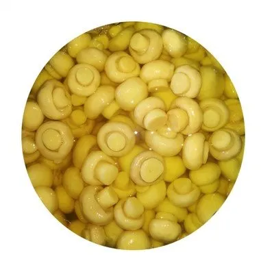 Nấm trong trống