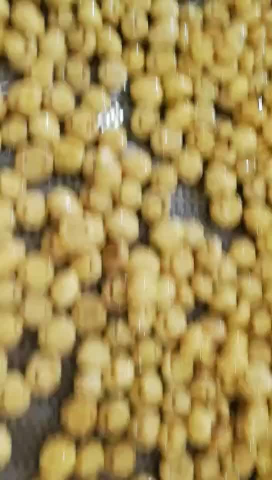 Conserved whole white mushroom in SO2 in drums