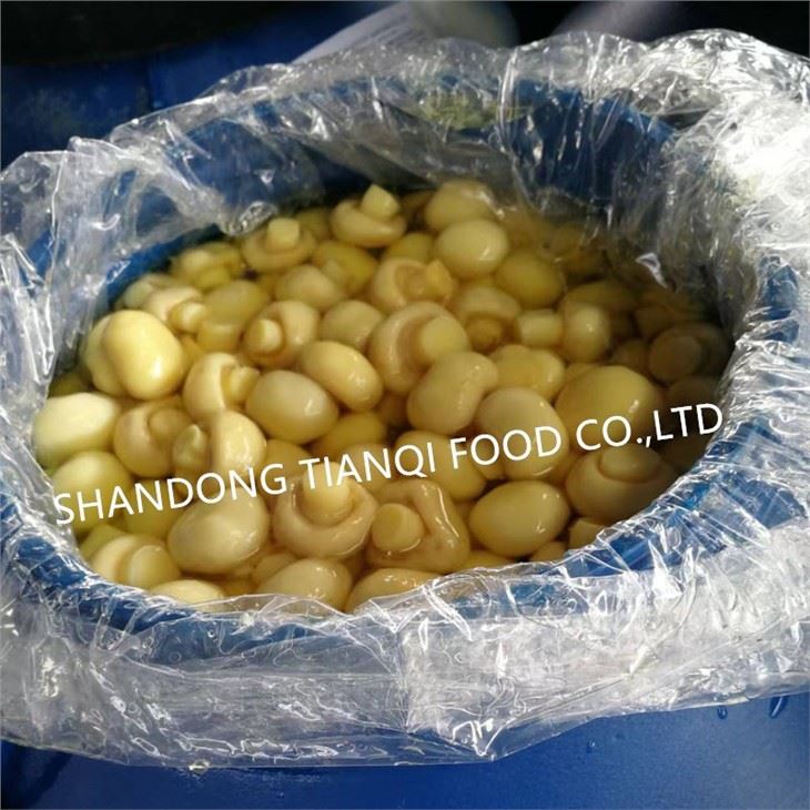 High quality SO2 mushroom in plastic drums