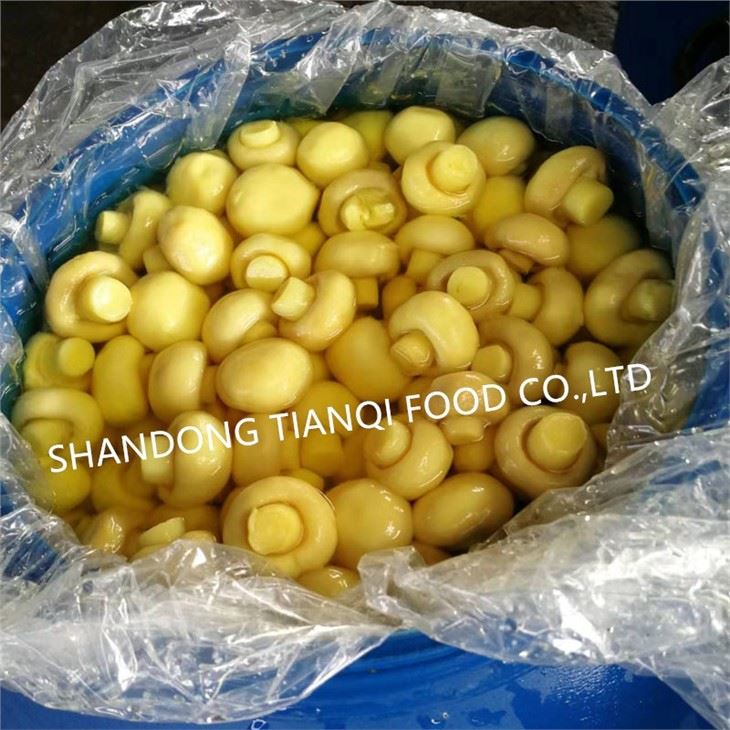 Nấm trắng chất lượng tốt trong SO2 trong thùng