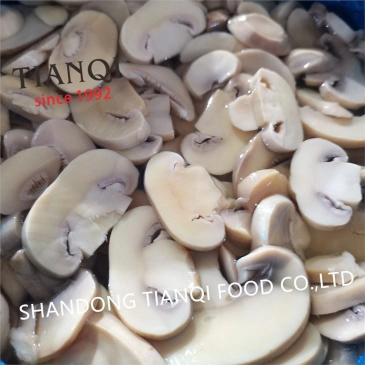 Slice 1.5-4.0cm mushroom in vinegar in drums