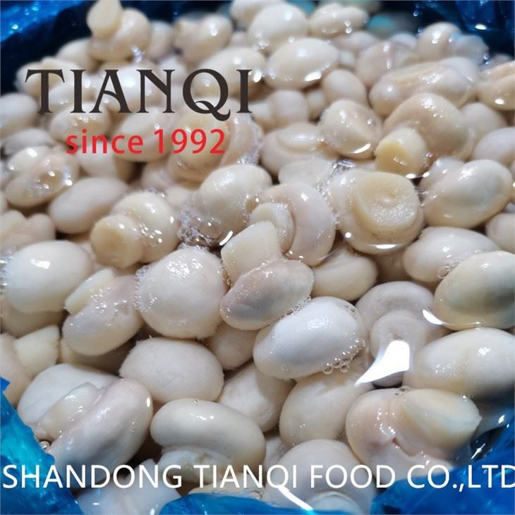 Best whole mushroom in salted water