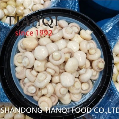 Nấm trồng mới ngâm nước muối trong thùng nhựa