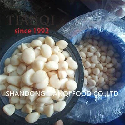 Tỏi bóc vỏ ngâm nước muối (muối và nước)