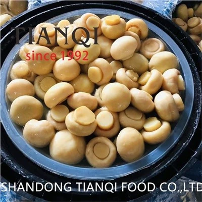 Nấm Champignon thái lát trong trống