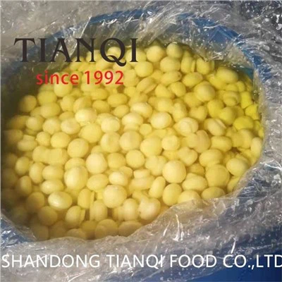 Toàn bộ nấm trong SO2 trong thùng nhựa