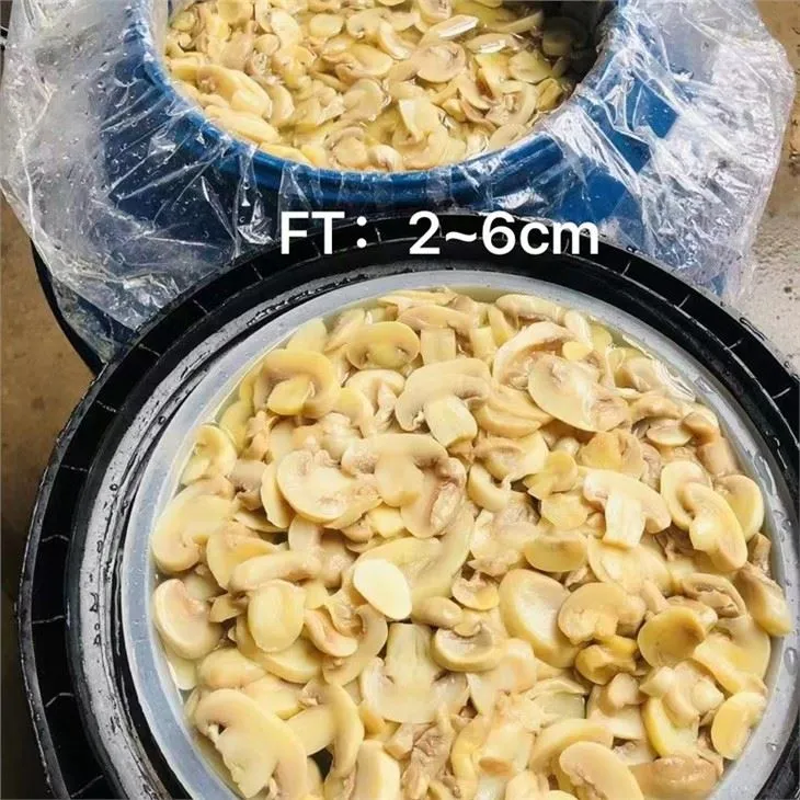 2023 Hot Selling White Champignon Mushroom in Brine in Drums