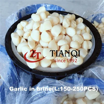 Tỏi ngâm nước muối trong trống